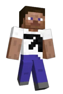 Hornet2507 Minecraft avatar full body