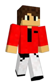 Hortzz Minecraft avatar full body