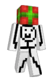 Hoshoa Minecraft avatar full body