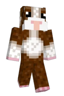HotForBoys219 Minecraft avatar full body
