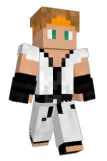 Houstonian Minecraft avatar full body