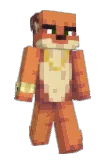Houy Minecraft avatar full body