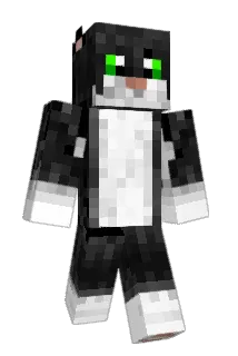 Howa64 Minecraft avatar full body