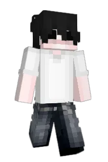 Howtobriger Minecraft avatar full body