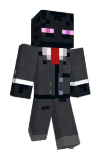 HozayTN Minecraft avatar full body