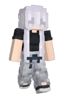 HpB0 Minecraft avatar full body