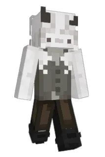 Hpnotq Minecraft avatar full body