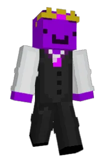 Hpro9 Minecraft avatar full body