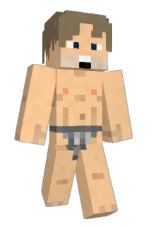 HrBache Minecraft avatar full body