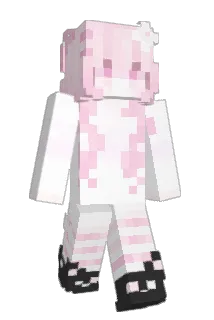 Hsmkl Minecraft avatar full body