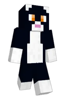 Hsteve25 Minecraft avatar full body