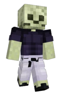 Htrrwe Minecraft avatar full body