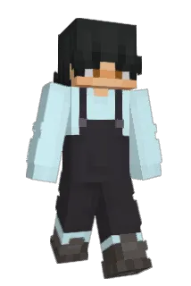 Hub19 Minecraft avatar full body
