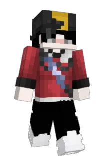 Hubeiache Minecraft avatar full body
