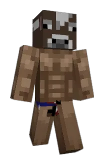 Hubite Minecraft avatar full body
