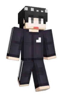 HudSe2 Minecraft avatar full body