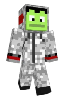 Hudbus101 Minecraft avatar full body