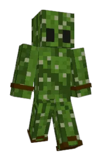 Huggable_Cactus Minecraft avatar full body
