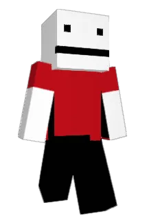 HumanRights12 Minecraft avatar full body
