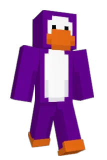 Huncholini Minecraft avatar full body