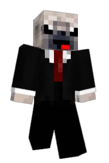Hundesohn21 Minecraft avatar full body