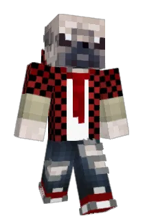 HungerDeRp_ Minecraft avatar full body