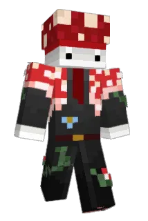 Hungis_TheFungis Minecraft avatar full body