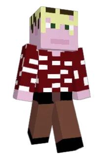HunterSmarti Minecraft avatar full body