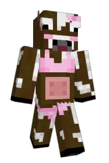 HurricaneTG13 Minecraft avatar full body