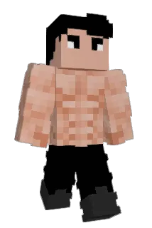 Husby14 Minecraft avatar full body