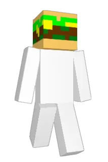 Huuskone98 Minecraft avatar full body
