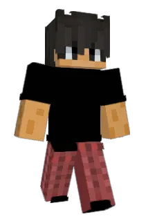 HvnnerSon Minecraft avatar full body
