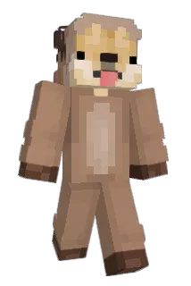 HwanHeee0_6 Minecraft avatar full body