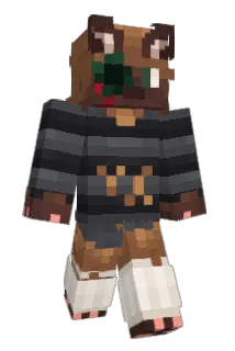 HwatASwitchGuy Minecraft avatar full body