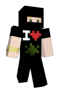 Hxdes66 Minecraft avatar full body
