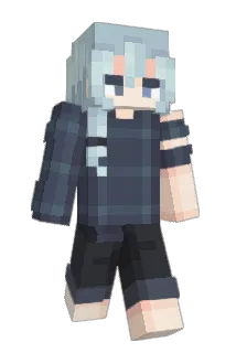 Hy0nkk Minecraft avatar full body