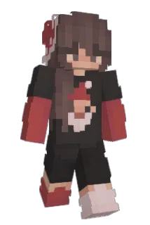 HypixelDevTest Minecraft avatar full body