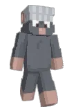 HypixelSimp Minecraft avatar full body