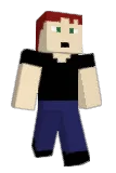 I21I Minecraft avatar full body