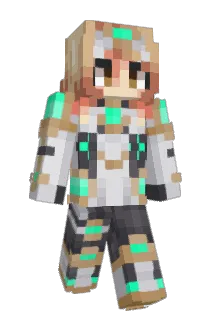 I4S4 Minecraft avatar full body