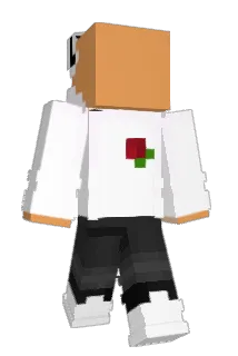 I619 Minecraft avatar full body