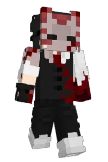 IBENV4 Minecraft avatar full body