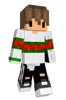 IBims1pRo1 Minecraft avatar full body