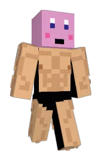 ICelestialxX Minecraft avatar full body