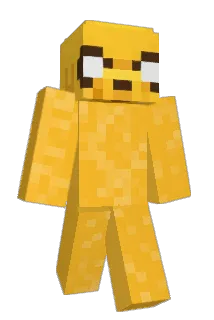IDDDI Minecraft avatar full body