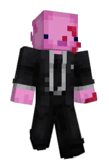 IDoozler Minecraft avatar full body