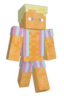 IGESUND05 Minecraft avatar full body