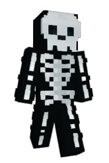IHERENA Minecraft avatar full body