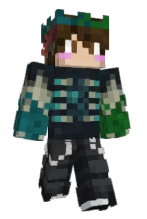 IHackedWalmart Minecraft avatar full body