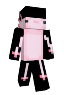 IIuer Minecraft avatar full body